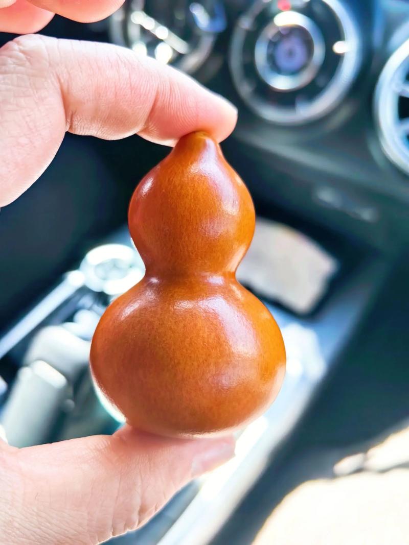 观赏葫芦种植：绿植界的视觉盛宴