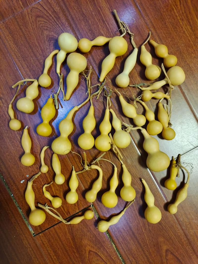 葫芦烙画：传统艺术在现代生活中的绽放