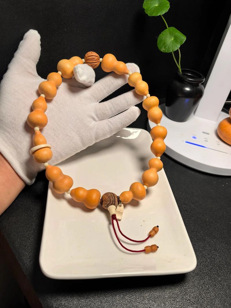 观赏葫芦种植指南:打造属于你的绿植景观
